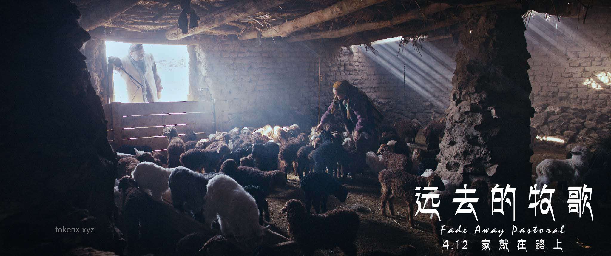 死亡：生命遷徙的終極詮釋——從家庭結(jié)構(gòu)變遷的視角深度解析