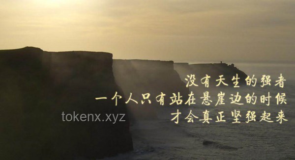雖人窮但志不窮：螢火突擊的東山再起之路