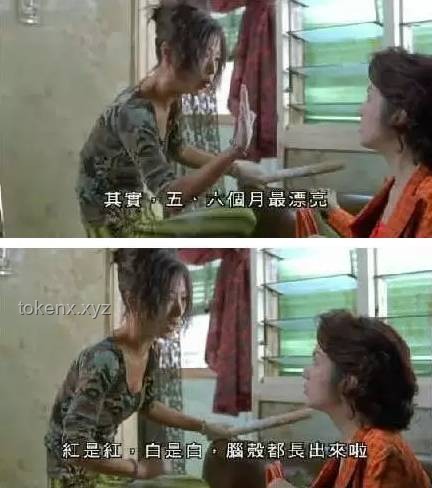 **一次大掃除后的驚魂記，我再也不敢搞衛(wèi)生了！**