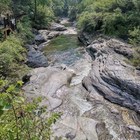 河南酷暑下山村女教師的教育堅守：社會支持體系的構(gòu)建與行業(yè)趨勢分析