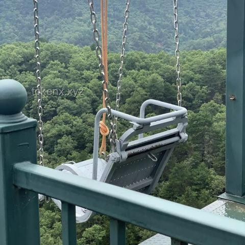 河南酷暑下山村女教師的教育堅守：社會支持體系的構(gòu)建與行業(yè)趨勢分析