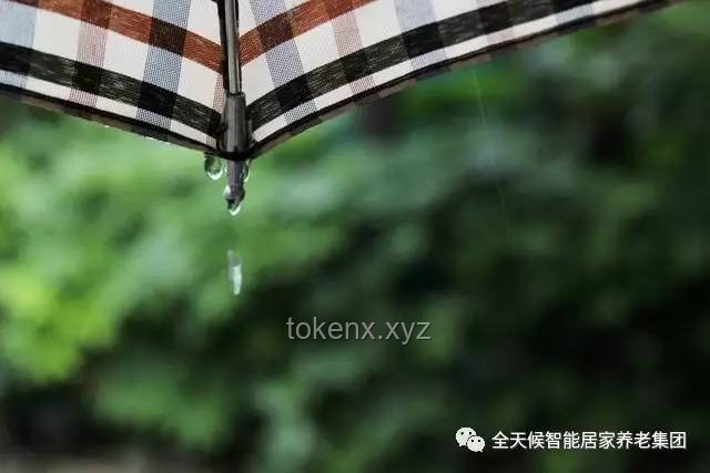 如何有效維護(hù)與修復(fù)油紙傘6的常見問題