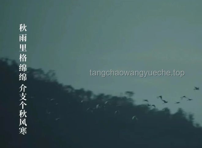 **深夜獨(dú)白：那份孤獨(dú)奮斗后的成就感，這感覺(jué)，誰(shuí)懂?。?！**