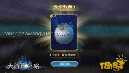 **星辰魚寶逆襲記：3S級(jí)機(jī)娘為何被嫌棄，又如何閃耀？?**
