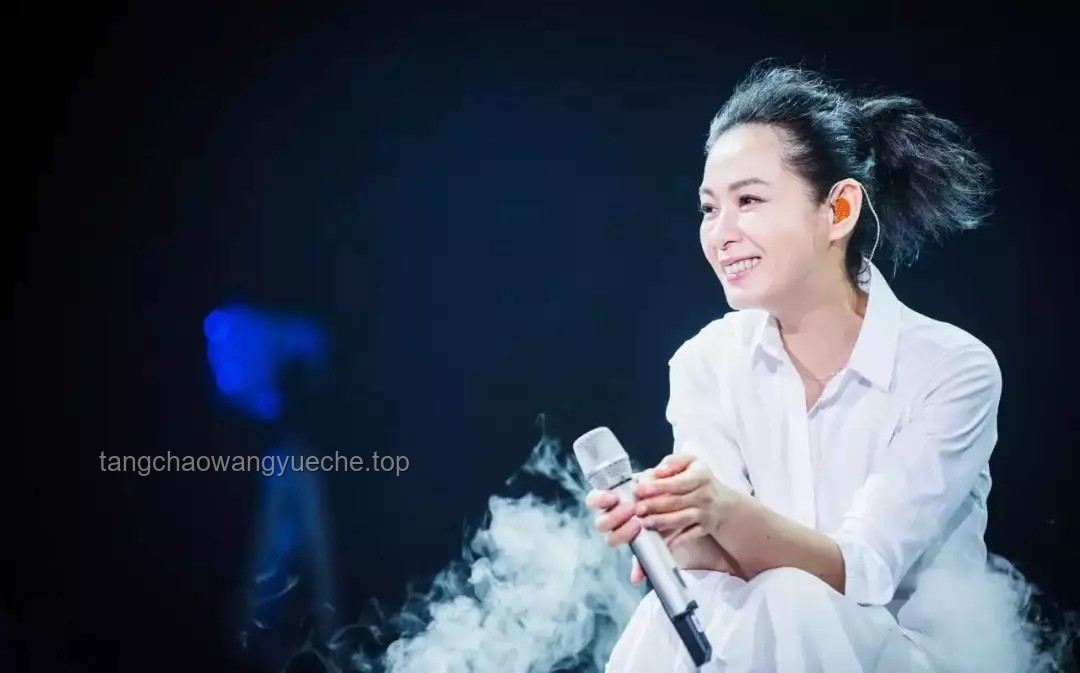 劉若英汕頭演唱會(huì)點(diǎn)歌誤會(huì)道歉事件研究