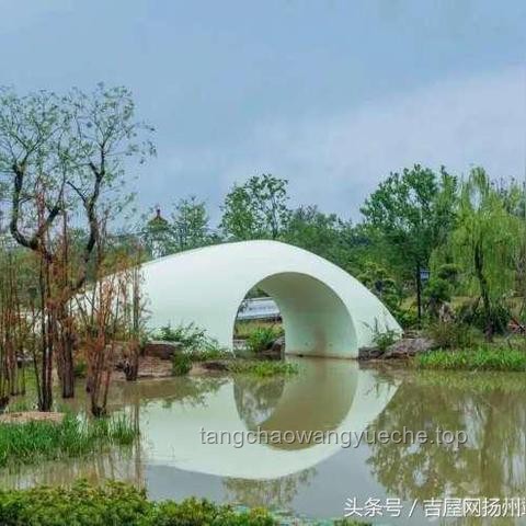 揚州清代文物合院618元起拍的深度市場與文物保護(hù)分析