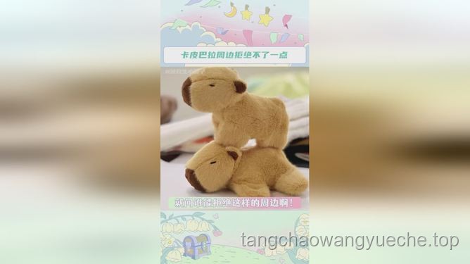 出逃54天：卡皮巴拉“豆包”的奇幻歸途