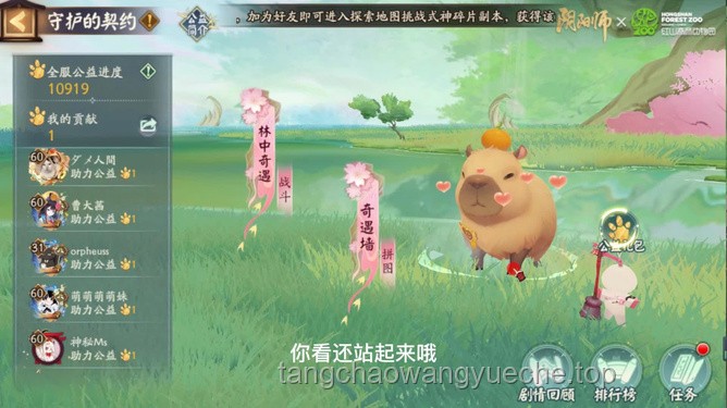 出逃54天：卡皮巴拉“豆包”的奇幻歸途