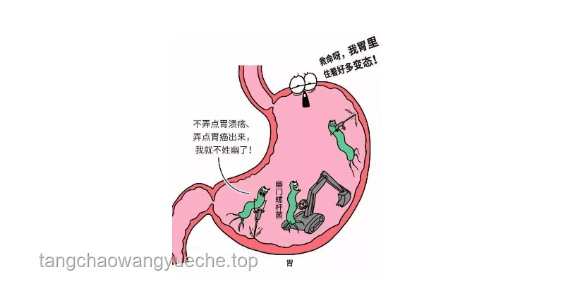 幽門螺桿菌：一人感染，全家需警惕的細菌