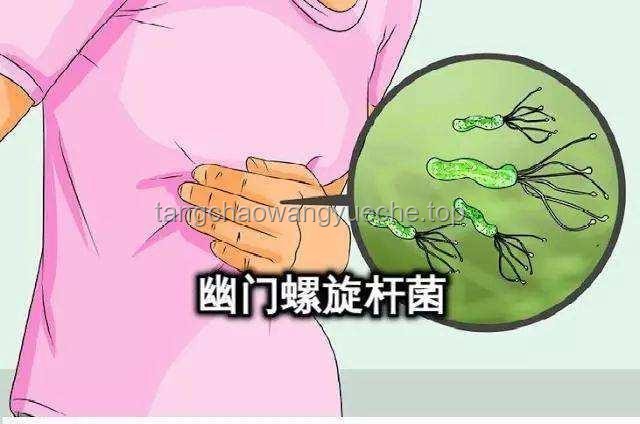 幽門螺桿菌：一人感染，全家需警惕的細菌