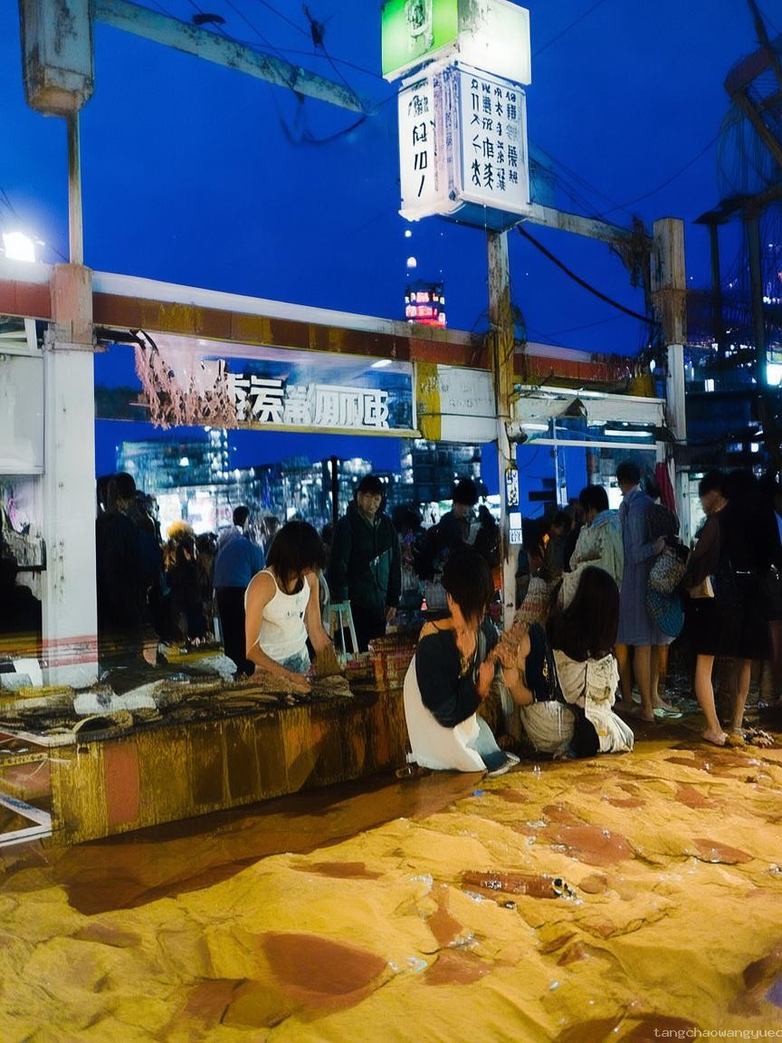 導(dǎo)游誤導(dǎo)事件引熱議：雨果并未下令燒圓明園
