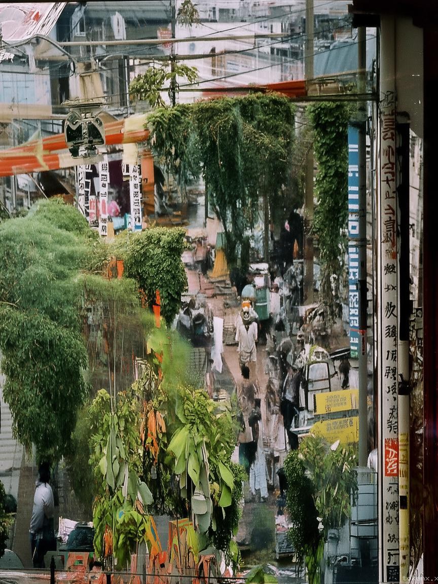 “扭曲的身軀”背后的網(wǎng)紅經(jīng)濟(jì)與文化趨勢(shì)：青島報(bào)紙哥-孫大帥的啟示