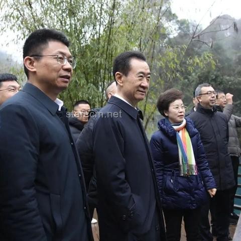 王健林股權(quán)凍結(jié)案深度剖析：4.9億股權(quán)背后的萬達(dá)困境與應(yīng)對策略