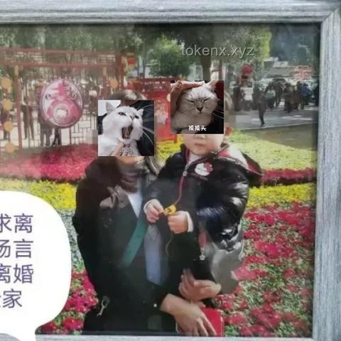 遭家暴后墜亡9歲男孩事件深度分析：家庭暴力與兒童心理健康