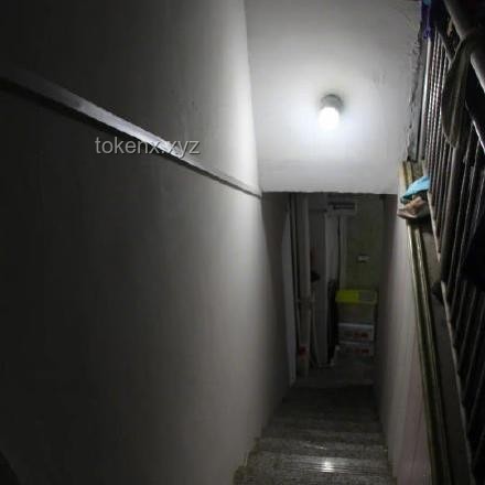 遭家暴后墜亡9歲男孩事件深度分析：家庭暴力與兒童心理健康