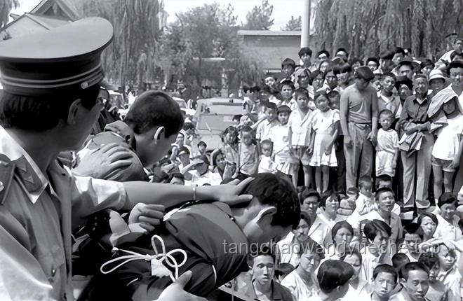 “陜西版孫小果”獲死刑，嚴打“紙面服刑”成未來趨勢