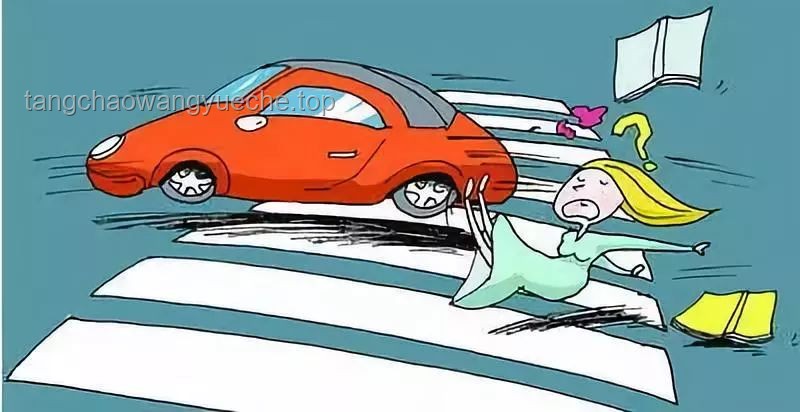 兩老人送孫子上學(xué)遇車(chē)禍悲劇：交通安全與社會(huì)應(yīng)對(duì)的未來(lái)趨勢(shì)