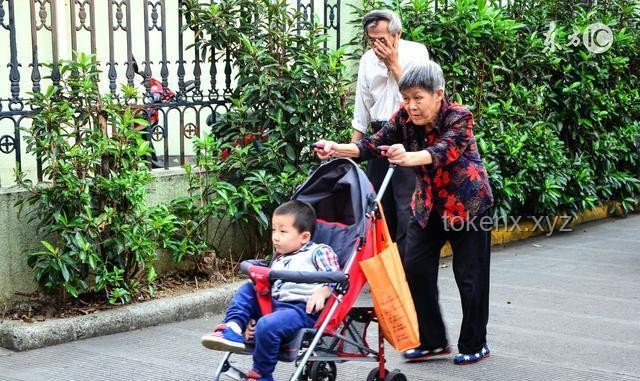 兩老人送孫子上學(xué)被撞身亡：交通安全與老齡化社會(huì)挑戰(zhàn)的深度剖析