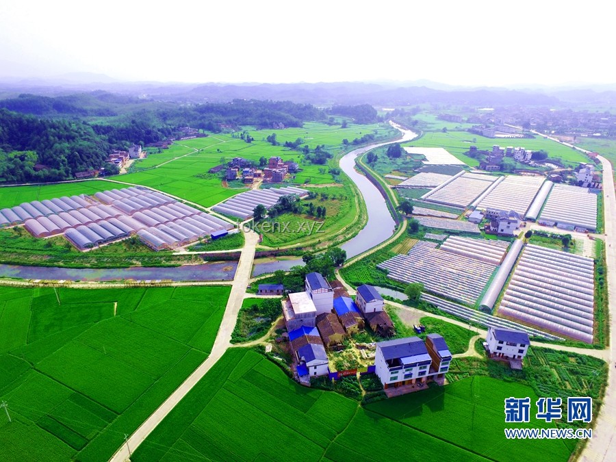 習(xí)近平的文化足跡：薪火相傳的創(chuàng)意之旅