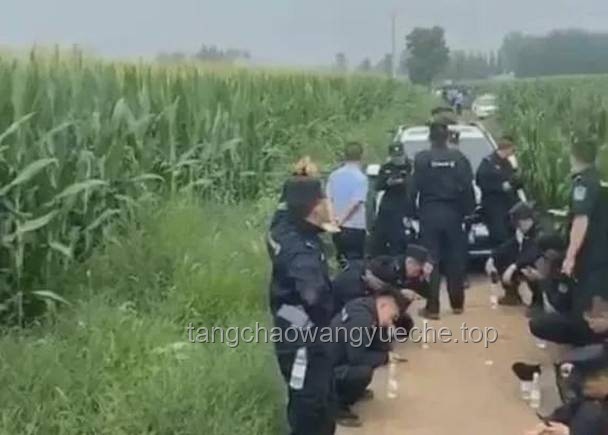 應(yīng)對女生考法警因極端言論曝光問題的解決方案