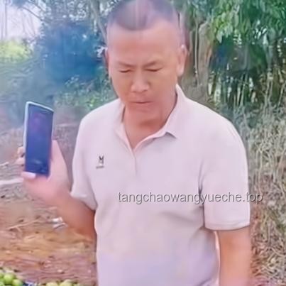進口水果價格跳水：應對策略與市場穩(wěn)定方案