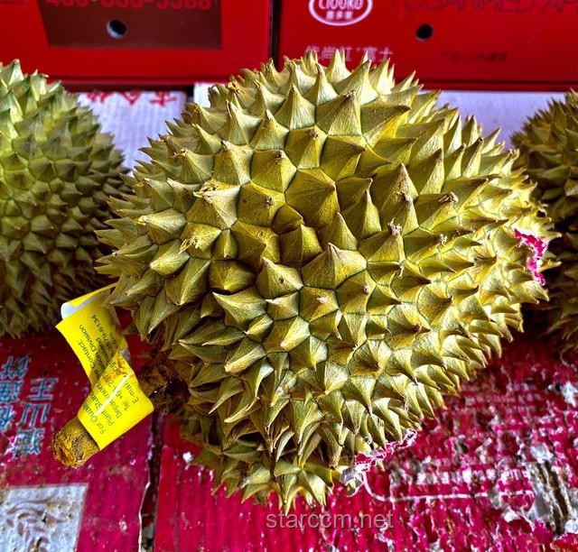 進(jìn)口水果價格跳水：現(xiàn)象、原因與選購指南