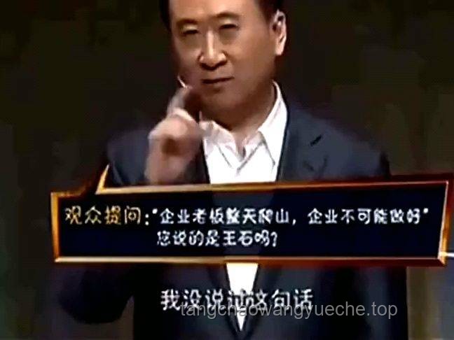 王健林“斷腕式”自救的長遠策略與路徑探索