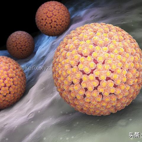 男性也會(huì)感染HPV甚至患癌：全面防護(hù)指南