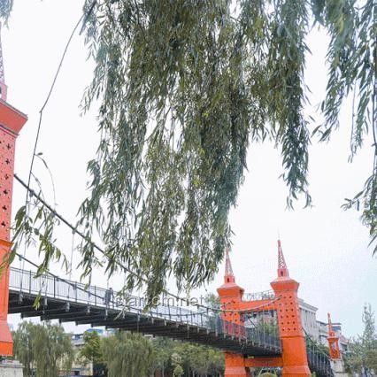 成都27歲女子家門口遇害案庭審取消：深度法律與行業(yè)安全分析