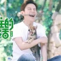 朋友圈訪客記錄功能真相：騰訊客服的深度回應(yīng)與行業(yè)透視
