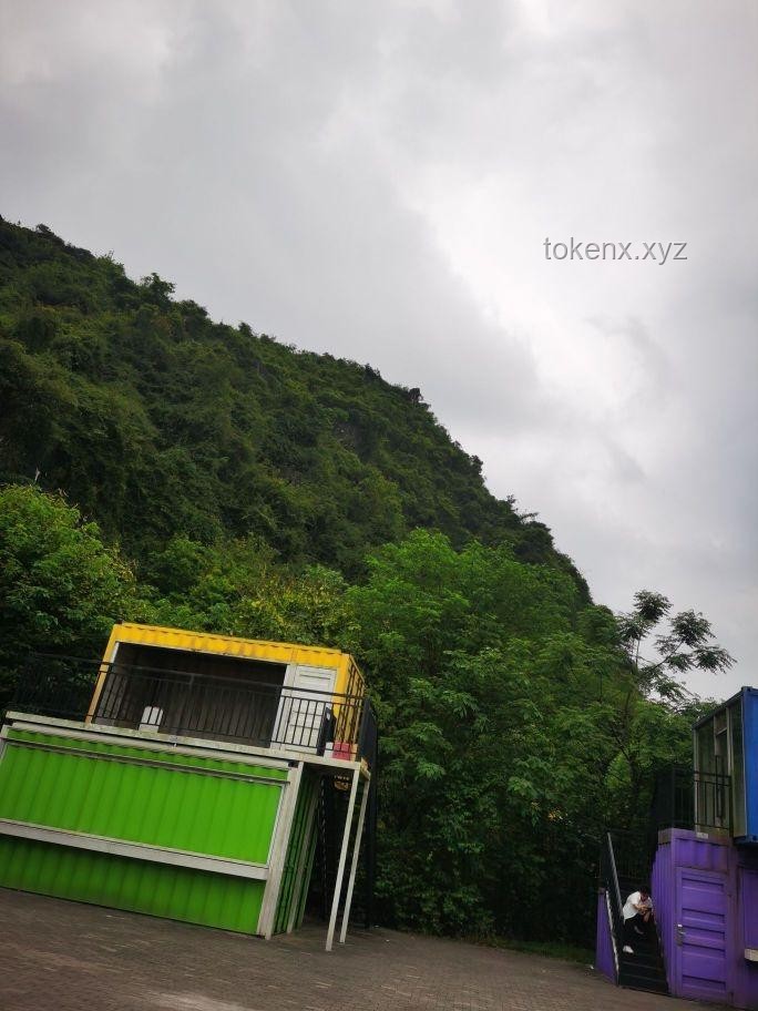 從零打造一座夢想小鎮(zhèn)：規(guī)劃、實施與影響深度剖析