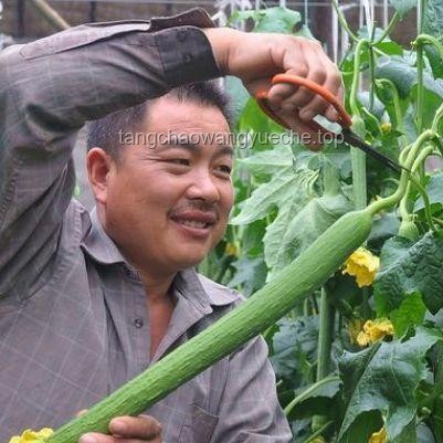 千萬(wàn)別看到3分14秒！視頻觀看高效管理指南