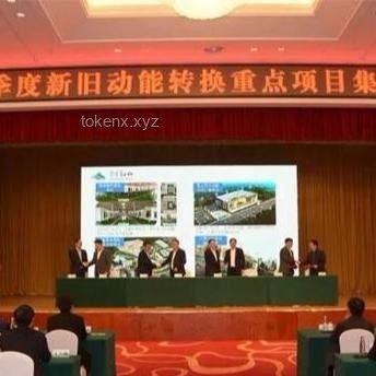 德國環(huán)保黨挑戰(zhàn)下的工業(yè)4.0未來：炸電廠、征肉稅、鼓勵(lì)大麻的潛在影響