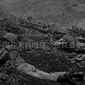 **朝鮮軍需工業(yè)副部長被拘留事件多維度對比分析**