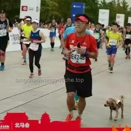 **第一批跟風(fēng)跑馬拉松的人，已經(jīng)在康復(fù)科了：馬拉松運動風(fēng)險與科學(xué)準(zhǔn)備**