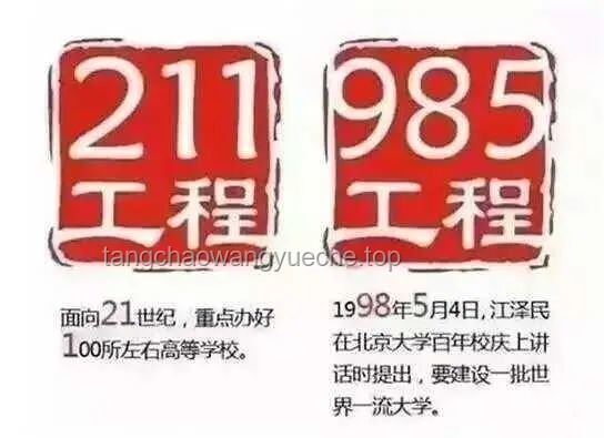 「末流 985」與「頂級(jí) 211」抉擇新趨勢(shì)：未來教育投資與職業(yè)發(fā)展路徑
