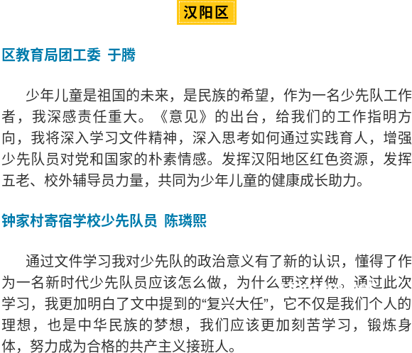 推動(dòng)少先隊(duì)事業(yè)不斷取得新成績(jī)的案例研究：以XX小學(xué)為例