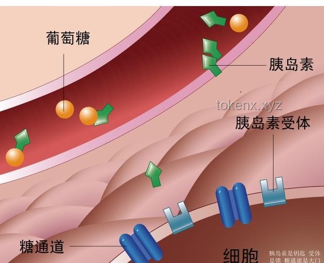 如何充分利用高敏感這一珍貴天賦，實(shí)現(xiàn)個(gè)人成長(zhǎng)與和諧人際