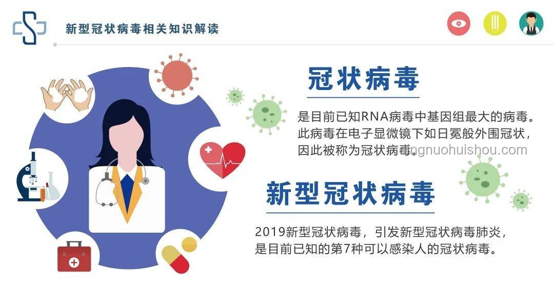 盲腸炎應(yīng)急處理與預(yù)防指南：從陳喬恩案例談起