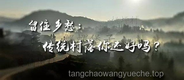“莊大下線”：《藏海傳》劇情轉(zhuǎn)折點(diǎn)的深度剖析