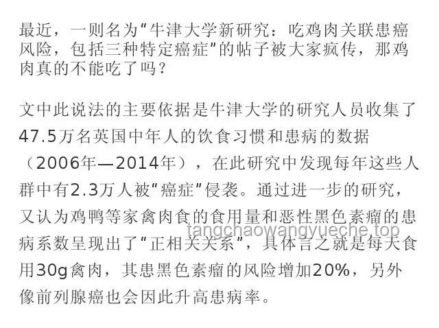 鴨子吃浮漂行為的生態(tài)觀察與行為學(xué)解析