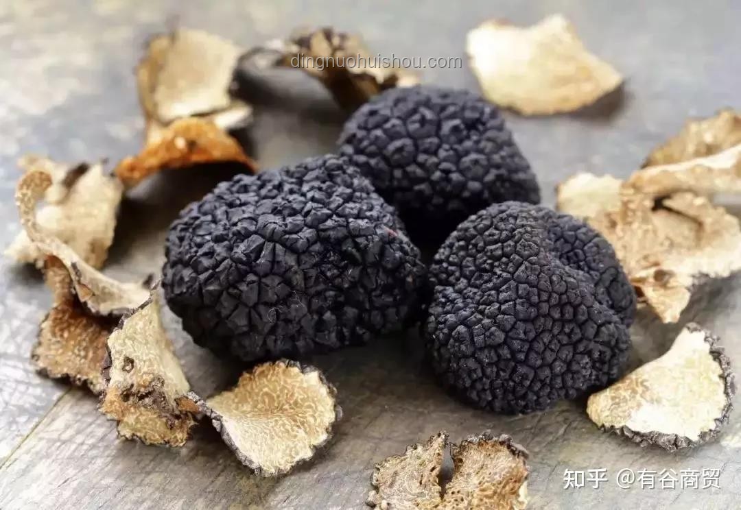 如何完美呈現(xiàn)《二重螺旋》松露與榛子PV中“希望的滋味”