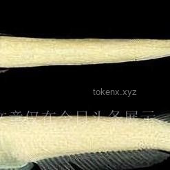 燈誘技術(shù)在昆蟲多樣性研究中的吸引力分析
