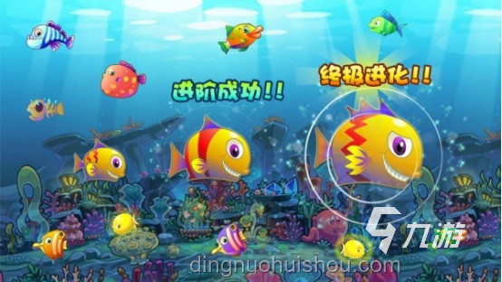 8個月心血養(yǎng)成巨無霸赤甲紅，它能戰(zhàn)勝海洋霸主彩虹螳螂蝦嗎？