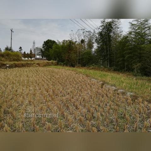 老牛會(huì)武功引發(fā)家庭安全危機(jī)案例研究