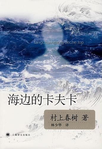 “藏海爛命一條就是干”背后的堅(jiān)韌與決心：解讀奮斗精神