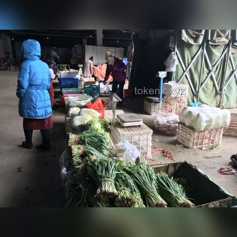 探訪高密化工廠爆炸事故現(xiàn)場實用探訪指南