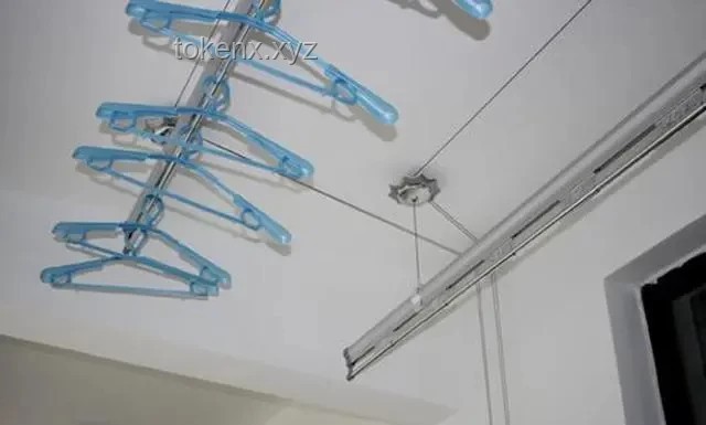 長姐如母：家庭中的隱形支柱
