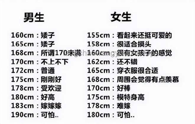 **男生最受女生歡迎的身高排名對(duì)比分析：揭秘理想身高的秘密**
