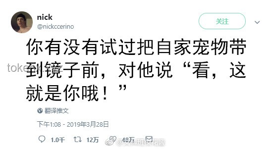 **打破刻板印象：揭秘“男生最受女生歡迎身高”背后的多元魅力密碼** ??, 數(shù)據(jù)分析, 審美多元, 身高偏好, 情感創(chuàng)新